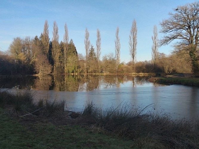 LE DOMAINE CARP’EDEN