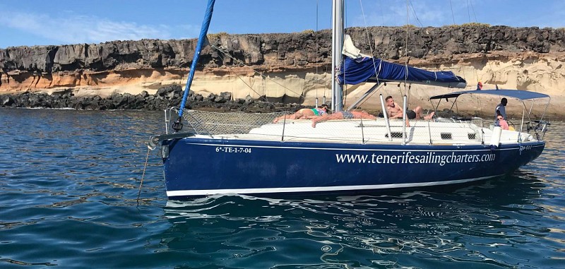 Croisière d'observation des dauphins et baleines en voilier à Tenerife - 3 heures - snacks et boissons inclus
