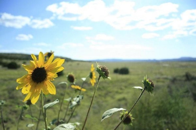 OUTLET FACTORY à BARSTOW