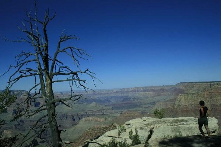 GRAND CANYON Village
