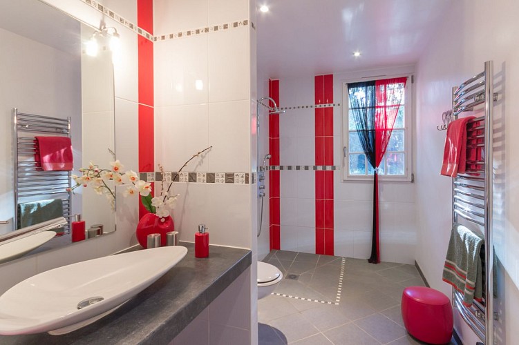 Salle d'eau Berlioz (rdc)