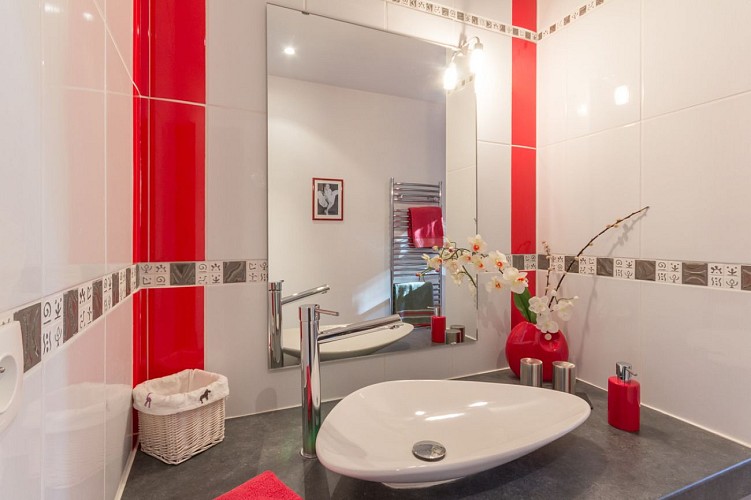 Salle d'eau Berlioz (rdc) 2