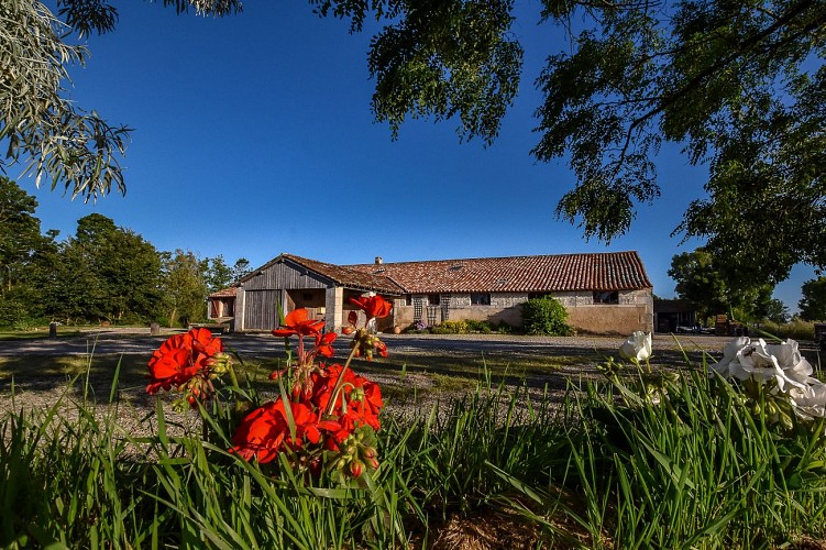 Apiculteur, Le Rucher des Mizottes