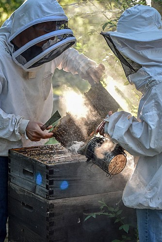 Apiculteur, Le Rucher des Mizottes