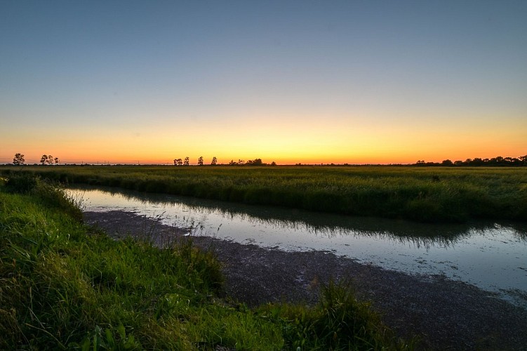 Apiculteur, Le Rucher des Mizottes