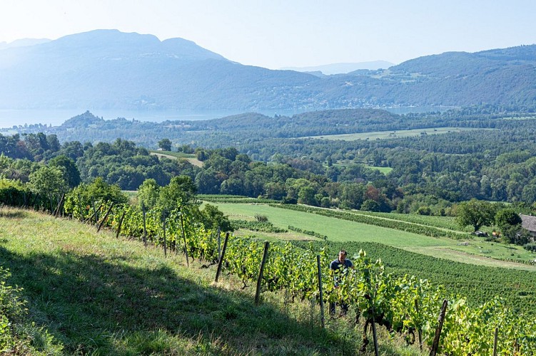 Le Caveau de Chautagne