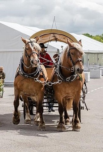 pépé and Gess depart