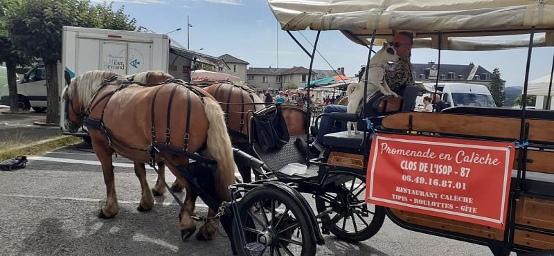 381042325_789083286552775_8003415202057330029_n