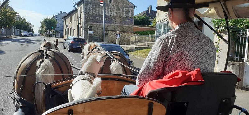 370973158_321683146986625_7938978987377711047_n