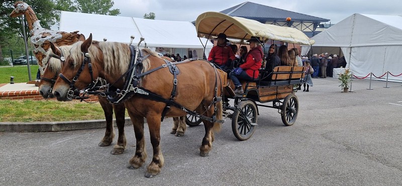 Promenade en Calèche avec Pénélop et Gess calèche Western