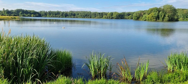 Reyberie Pond