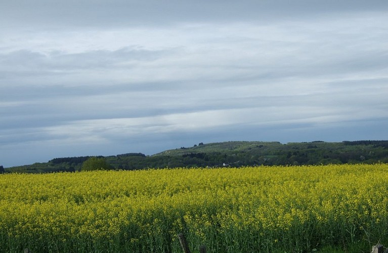 Etang du Montet_2