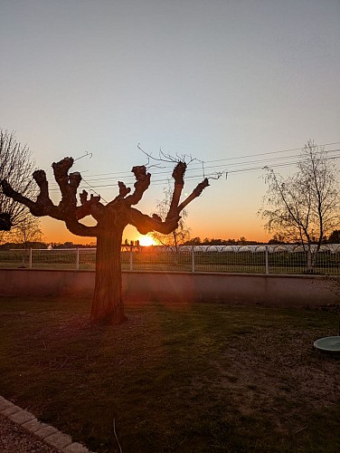 coucher de soleil