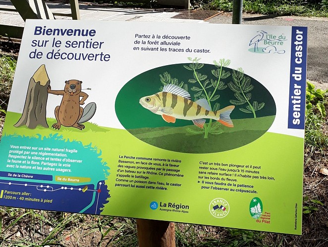 Île du Beurre nature observation centre