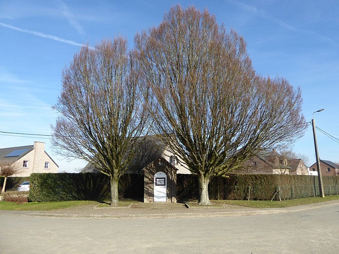 Chapelle Saint-Donat et ses deux arbres remarquables
