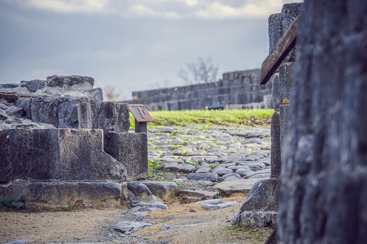 ChateauDeMoha-164 © Château de Moha