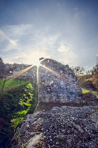 ChateauDeMoha-163 © Château de Moha