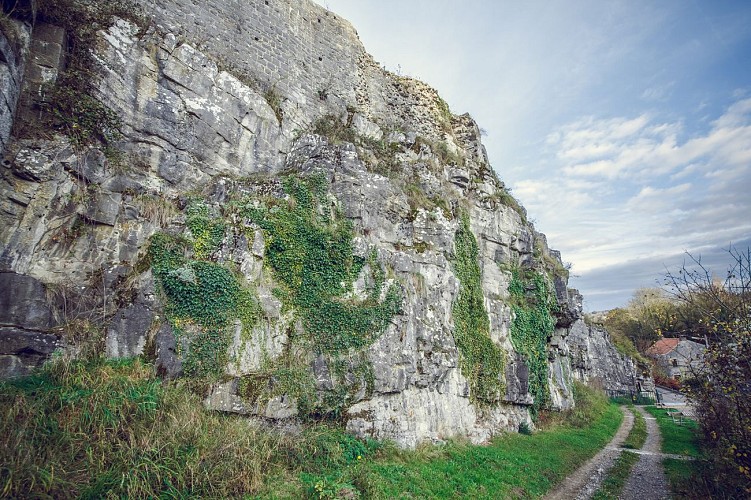 Château féodal de Moha - Moha - ruines