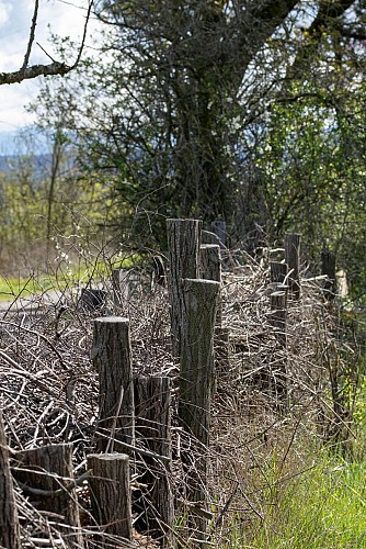 Nationales Naturschutzgebietshaus - La Gare des Ramières