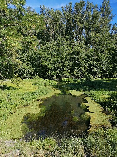 Protected natural site on Printegarde Island