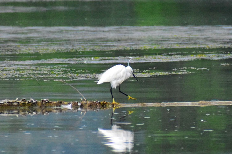 Protected natural site on Printegarde Island