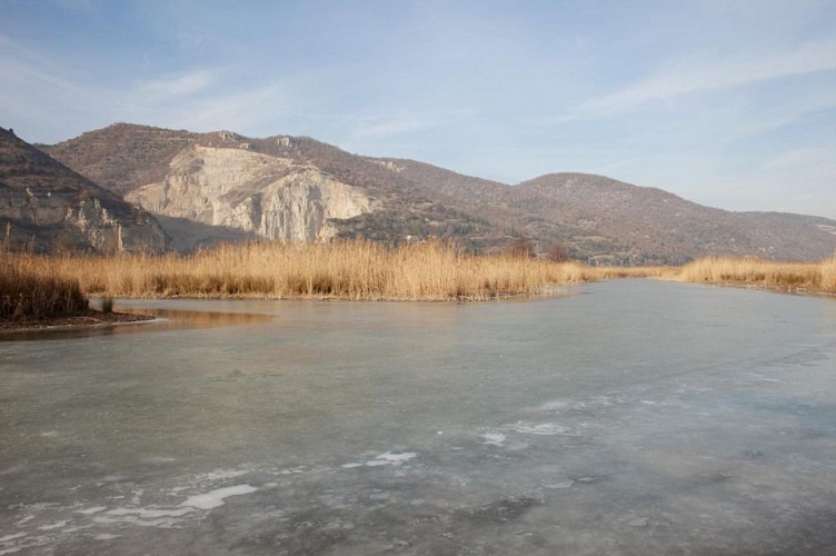 Réserve naturelle de l'île de Printegarde