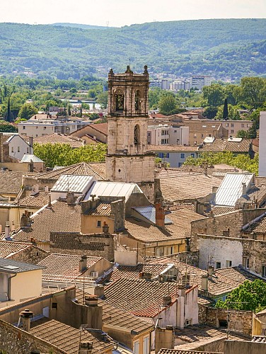 Montélimar et ses joyaux historiques et gourmands