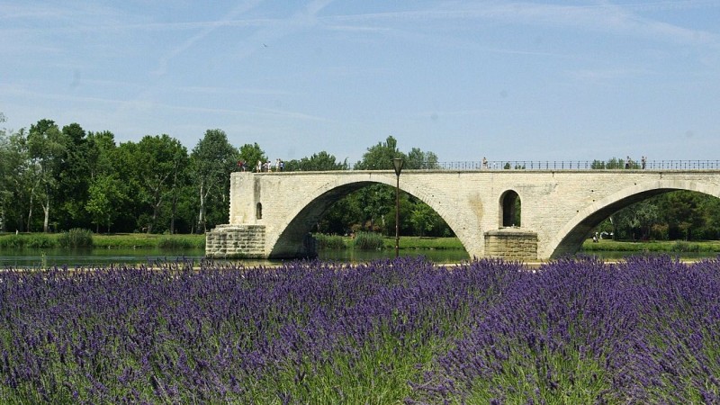 Pont d'Avignon (Saint-Bénezet)