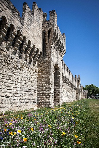 Stadtmauer von Avignon