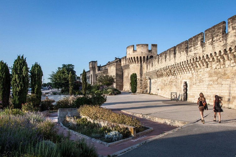 Ramparts around the walled city of Avignon