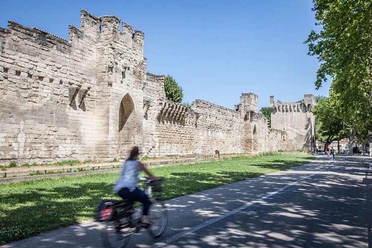 Les Remparts d'Avignon