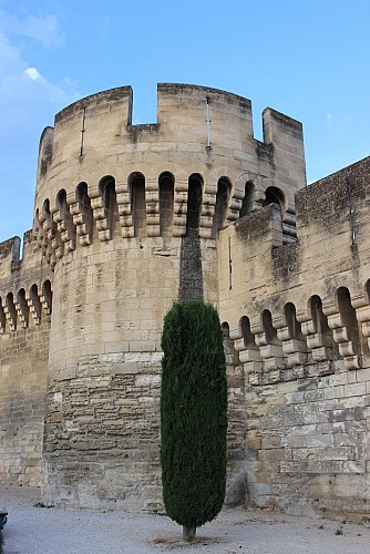 Les Remparts d'Avignon