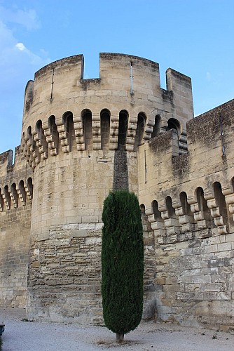 De walmuren van Avignon