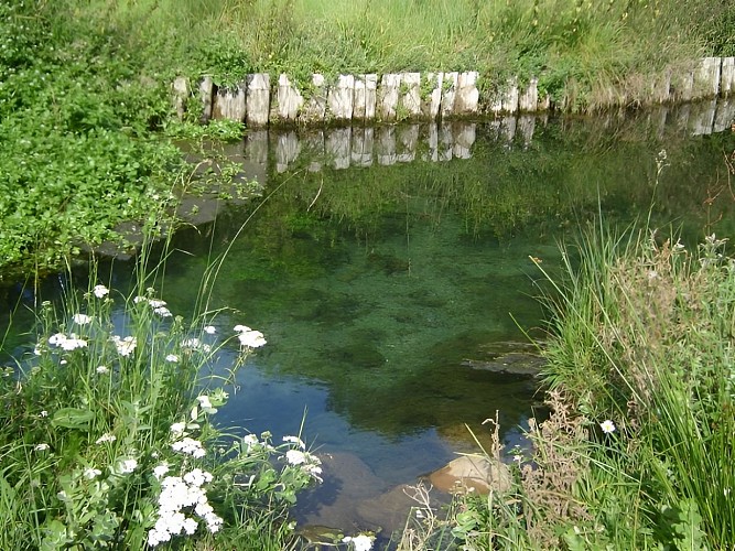 Source de l'Orbiquet