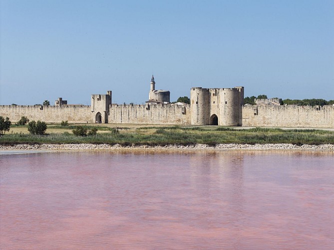 The Towers and Ramparts of Aigues-Mortes