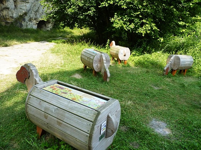 Montagne Saint-Pierre - réserve moutons ludiques