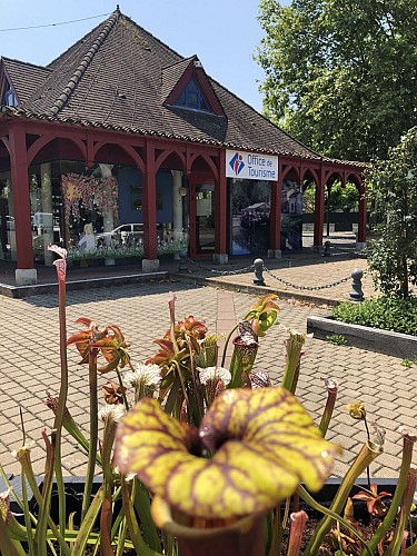 office-de-tourisme-face-hauteur