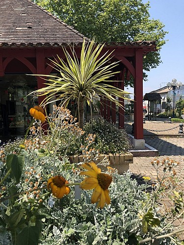 office-de-tourisme-massif-fleurs-hauteur