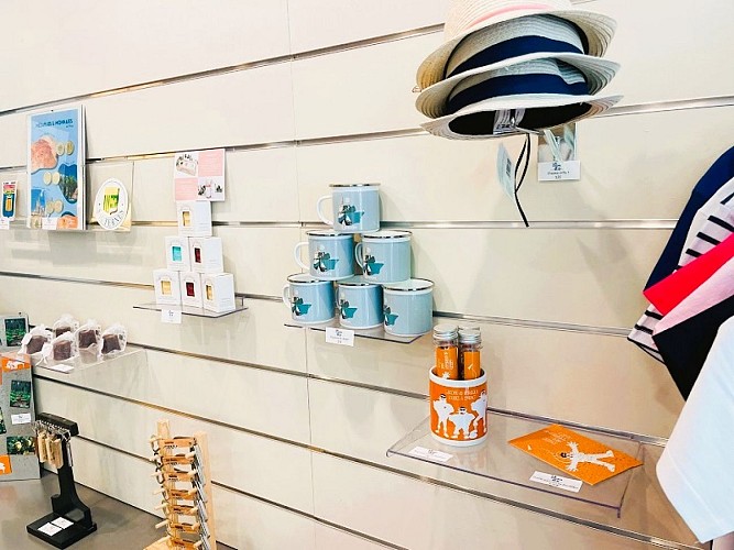 Office de Tourisme - BIT Langon (5)