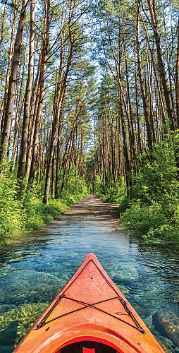 Devenez explorateur du coeur des Landes, entre rivière et forêt de pins