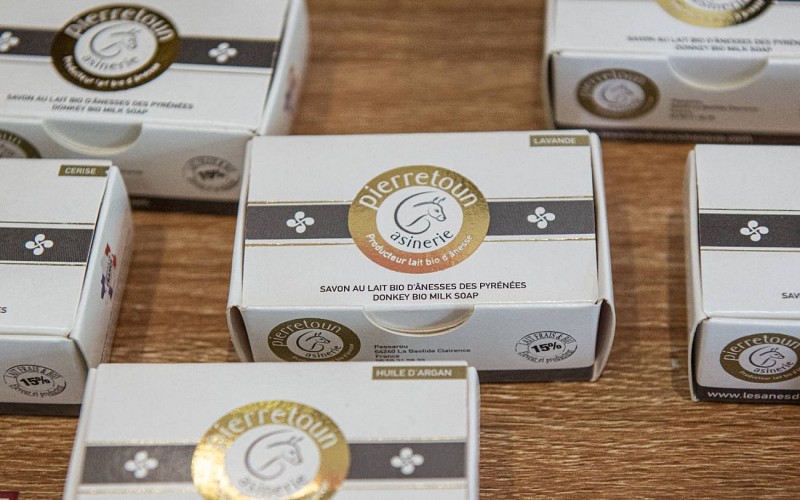 53097426856_365de455df_o