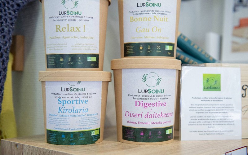 53096860767_e4dc96c594_o