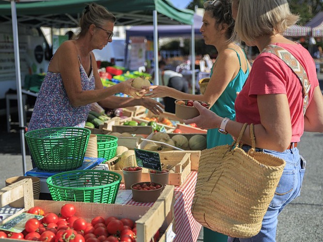 Lembeye marché Tourisme Béarn Madiran © Courte Échelle 2025 -  M29A9114