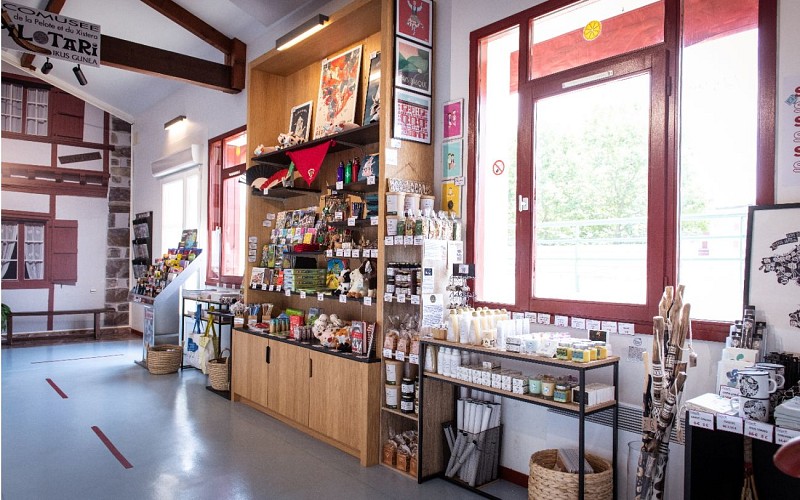 53097437136_52175cdda5_o