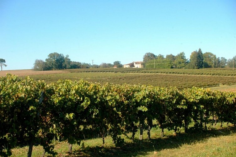 Camping-car d'hôtes au Martin
