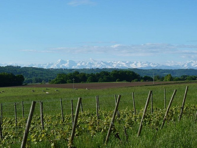 Clos Basté