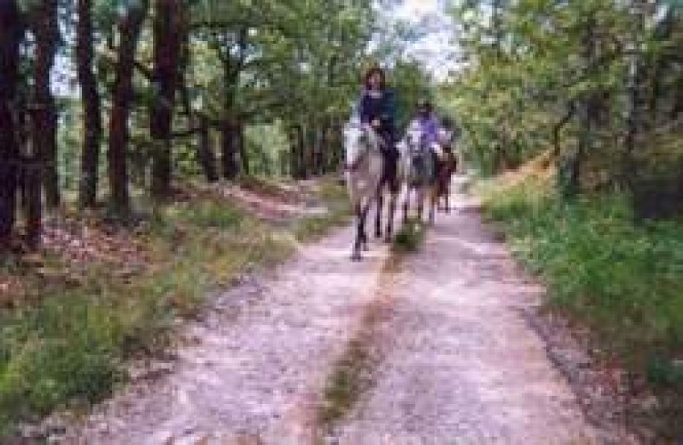 Castelnaud_Vallée des Châteaux