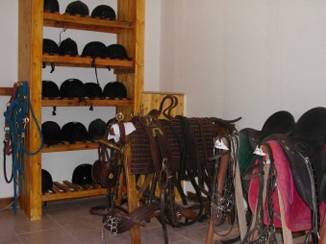 ferme équestre Sardin_Faucon 2