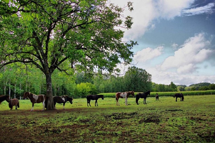 cavaliersde-lavezere-sergeac-1-2