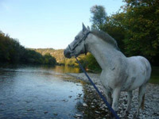 cavaliersde lavezere_sergeac 7